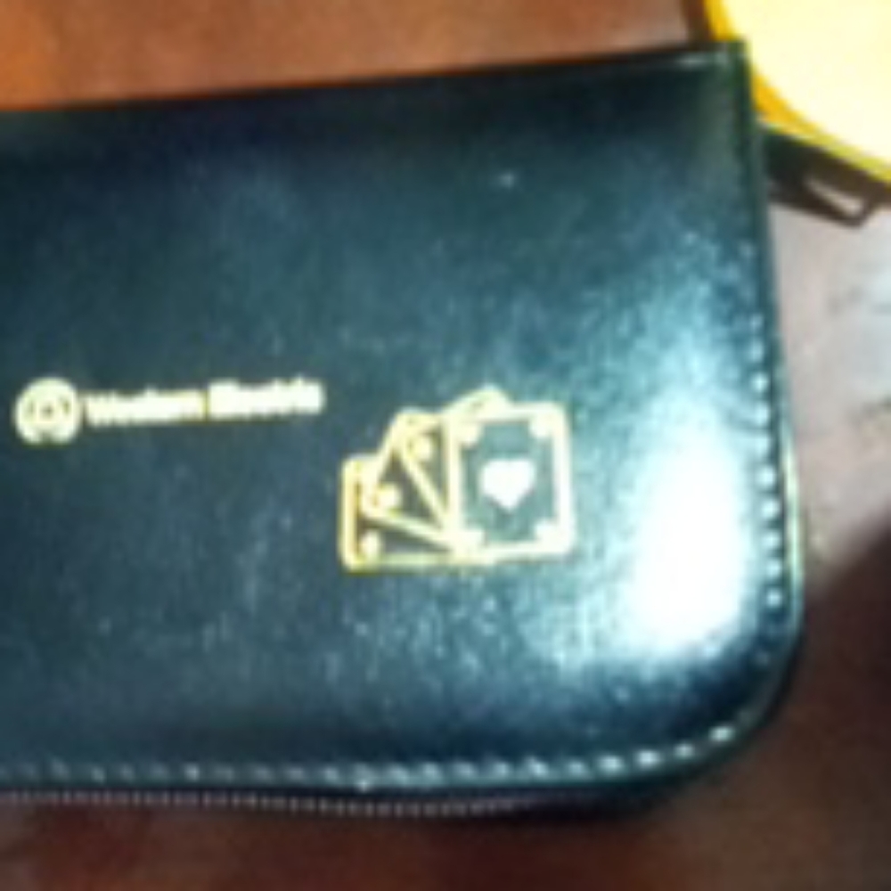 Ground leather portfolio